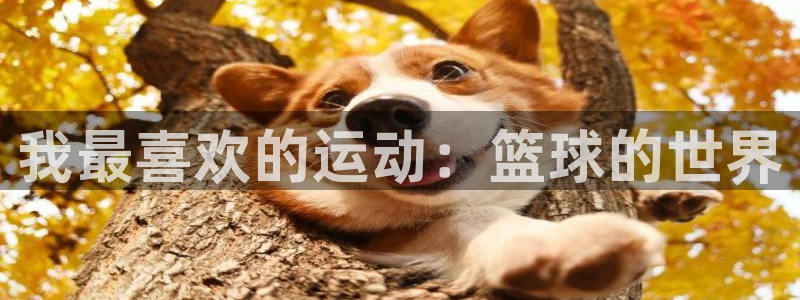 vsport体育官网下载招商电话号码是多少:我最喜欢的运动: