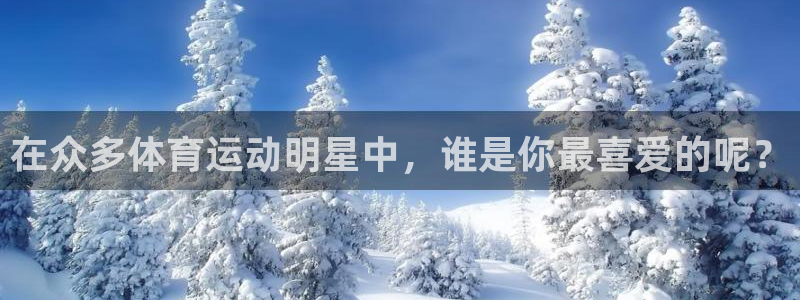 vsport体育官方正版app官方:在众多体育运动明星中,谁