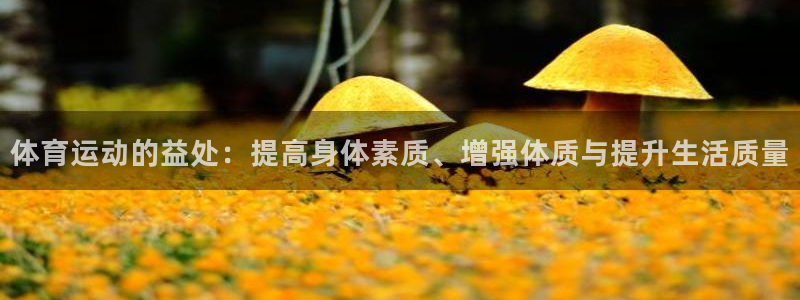 vsport体育官方正版app娱乐是那个系列的台子:体育运动