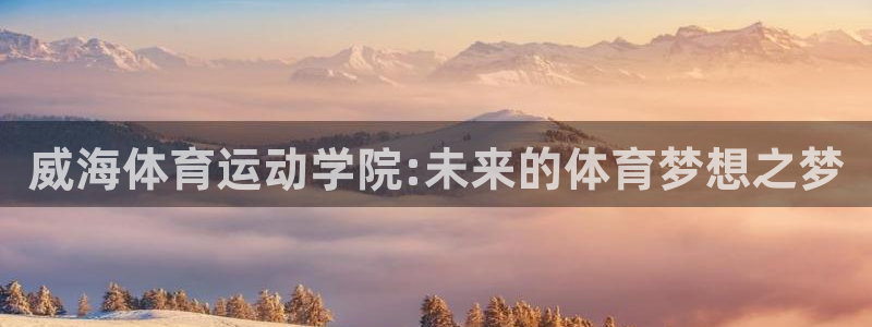 vsport体育官网下载平台是正规平台吗:威海体育运动学院: