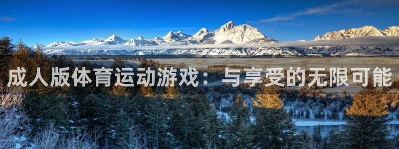 vsport体育官方正版app官方:成人版体育运动游戏:与享