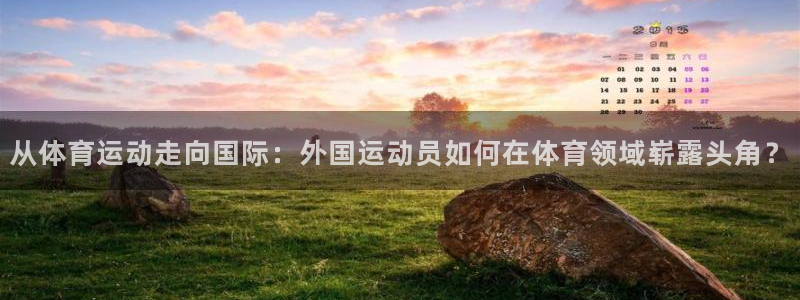 vsport体育官方平台体育:从体育运动走向国际:外国运动员