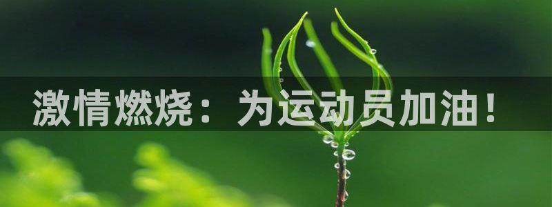 vsport体育官网下载招商电话地址查询:激情燃烧:为运动员