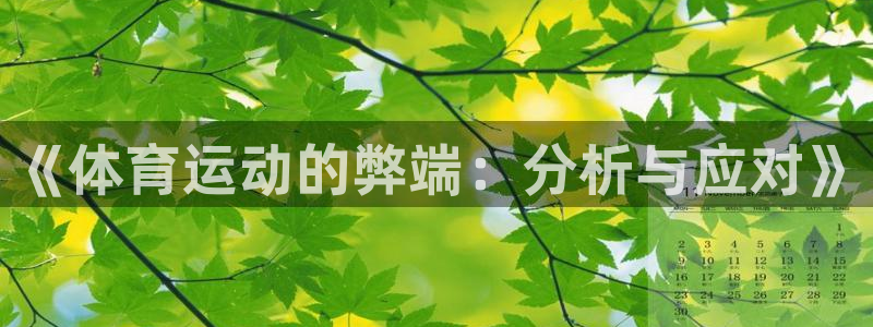 vsport体育官方正版app娱乐是那个系列的台子:《体育运